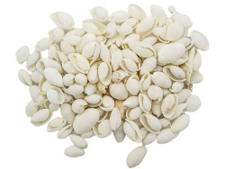 Beyaz Deniz Kabuğu 100 GR - 1