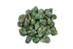 Deniz Kabuğu Bruneus 1 KG - 4