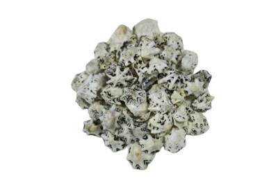 Deniz Kabuğu Desenli Beyaz 1 CM - 1 KG - 3
