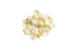 Deniz Kabuğu İstiridye 1 CM - 1 KG - 1