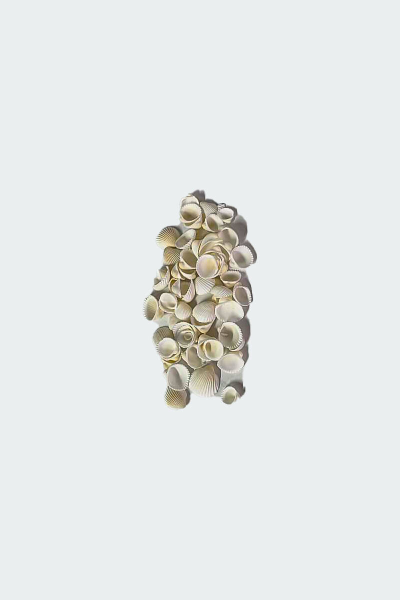 Deniz Kabuğu İstiridye 100GR - 1