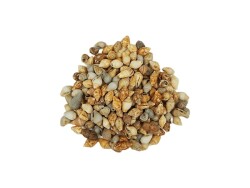 Deniz Kabuğu Naturel 1 CM - 100 GR - 2