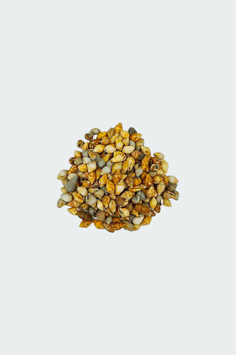 Deniz Kabuğu Naturel 100GR - 1