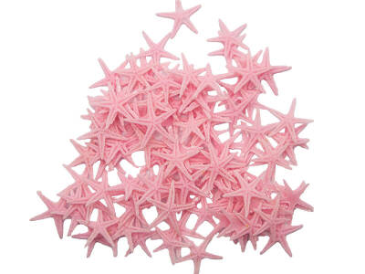 Deniz Yıldızı Açık Pembe 2 Cm 20 Adet - 1