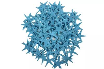 Deniz Yıldızı Mavi 2 Cm 20 Adet - 1