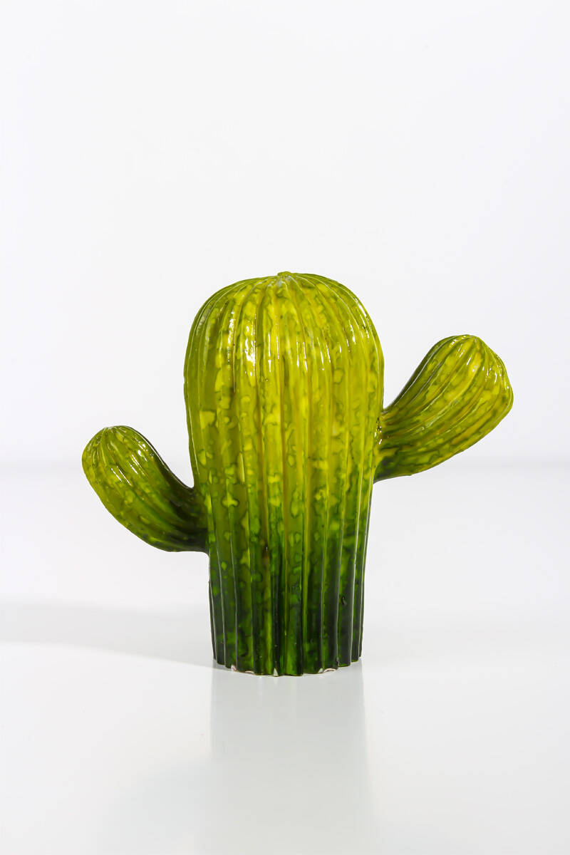 Kaktüs Silikon Mum Kalıbı KHM46 - 1