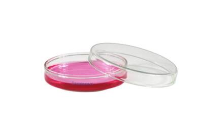 Petri Kutusu Steril 90 MM 28 Adet Paket - 1