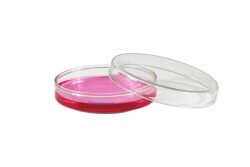 Petri Kutusu Steril 90 MM 28 Adet Paket - 4